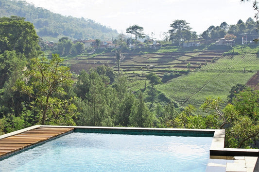 Green Forest Villa 6 Bedrooms